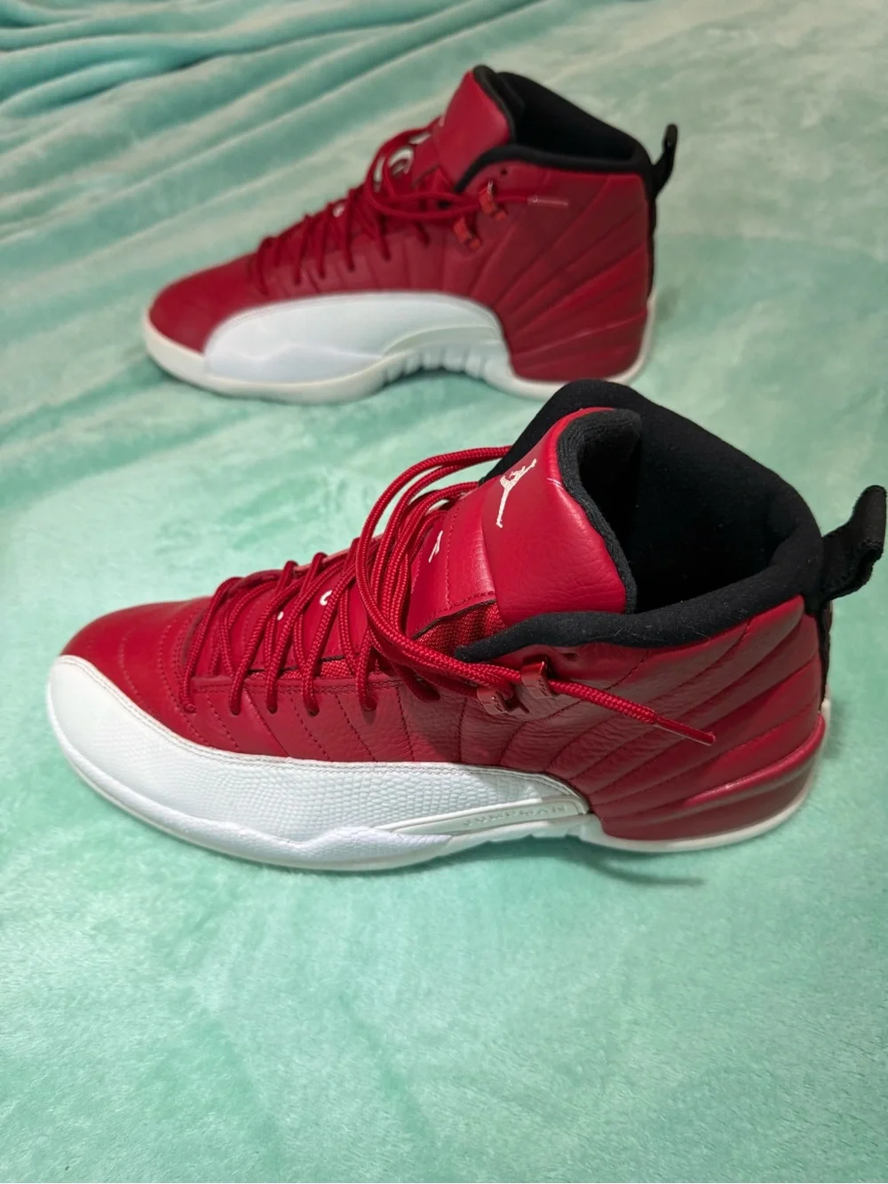 Air Jordan 12 Retro 
